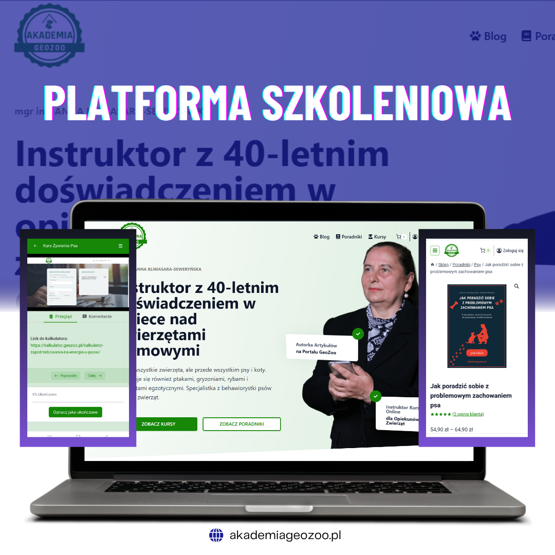 akademiageozoo.pl
